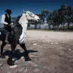 Monochrome Phantom Horse Coat