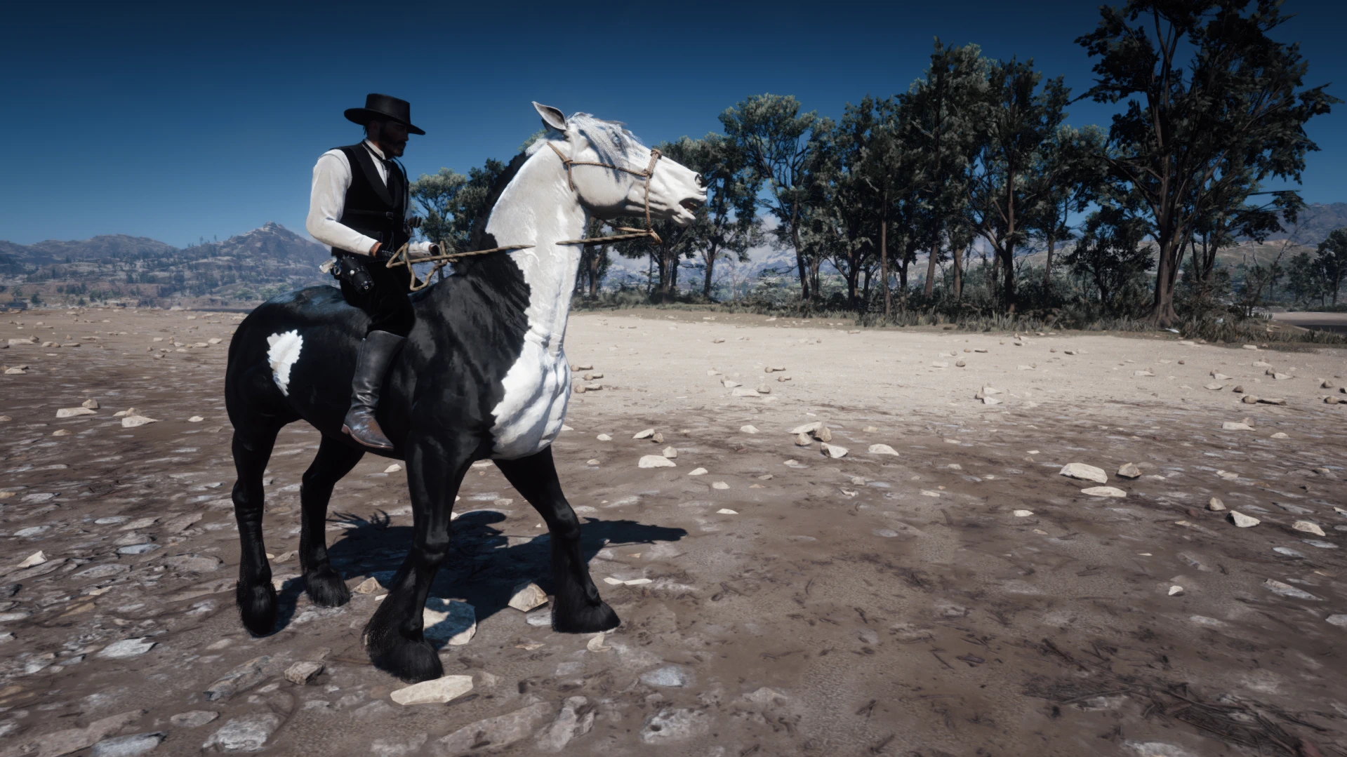 Monochrome Phantom Horse Coat