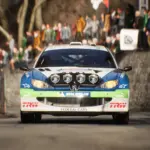 Peugeot 206 WRC