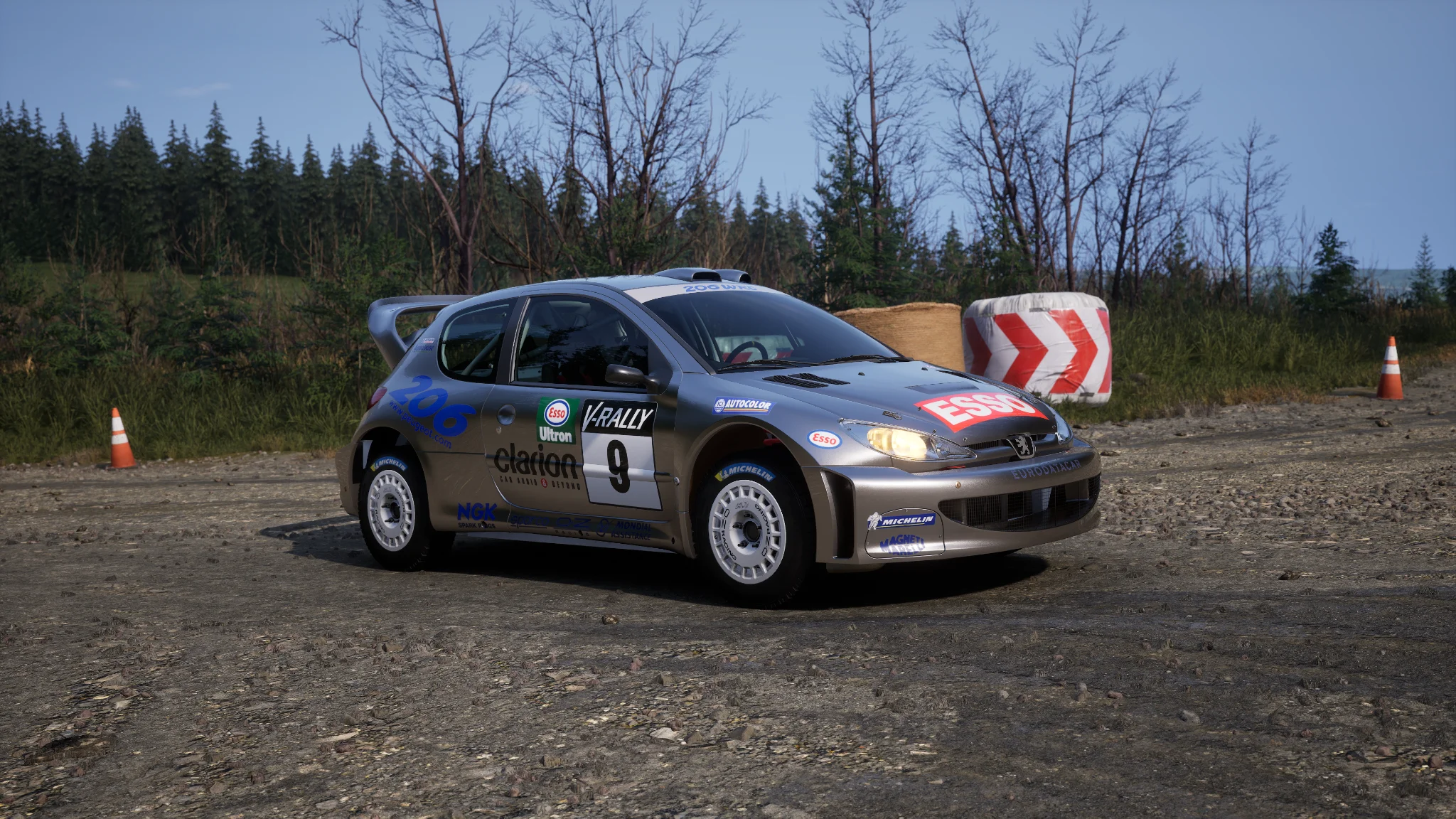 Peugeot 206 WRC - 20003