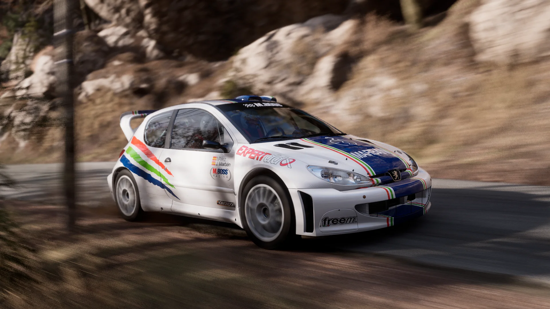 Peugeot 206 WRC - José Marbán