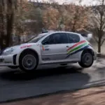 Peugeot 206 WRC - José Marbán1