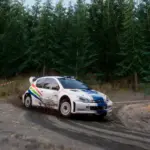 Peugeot 206 WRC - José Marbán3