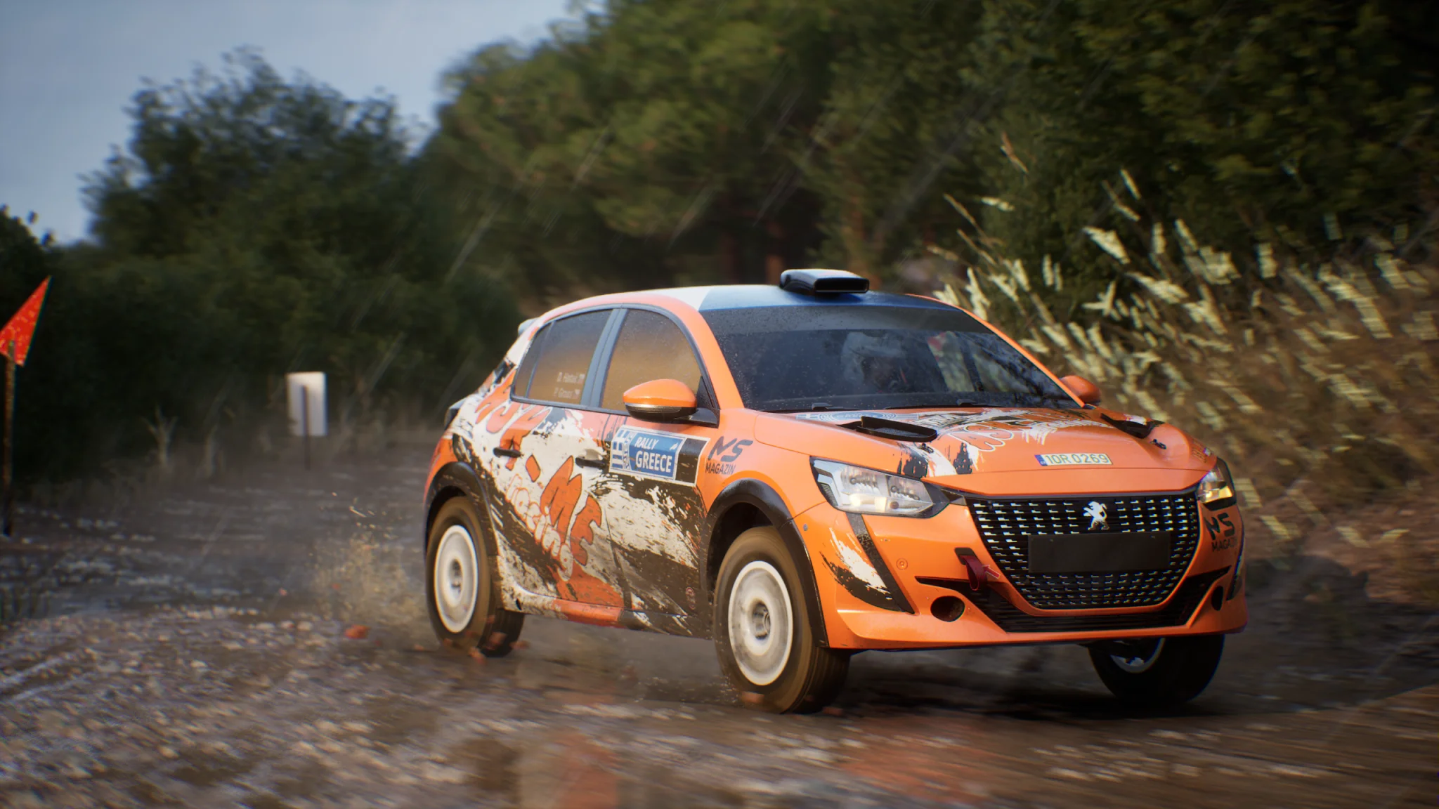 Peugeot 208 Rally4 - Patrik Kdér