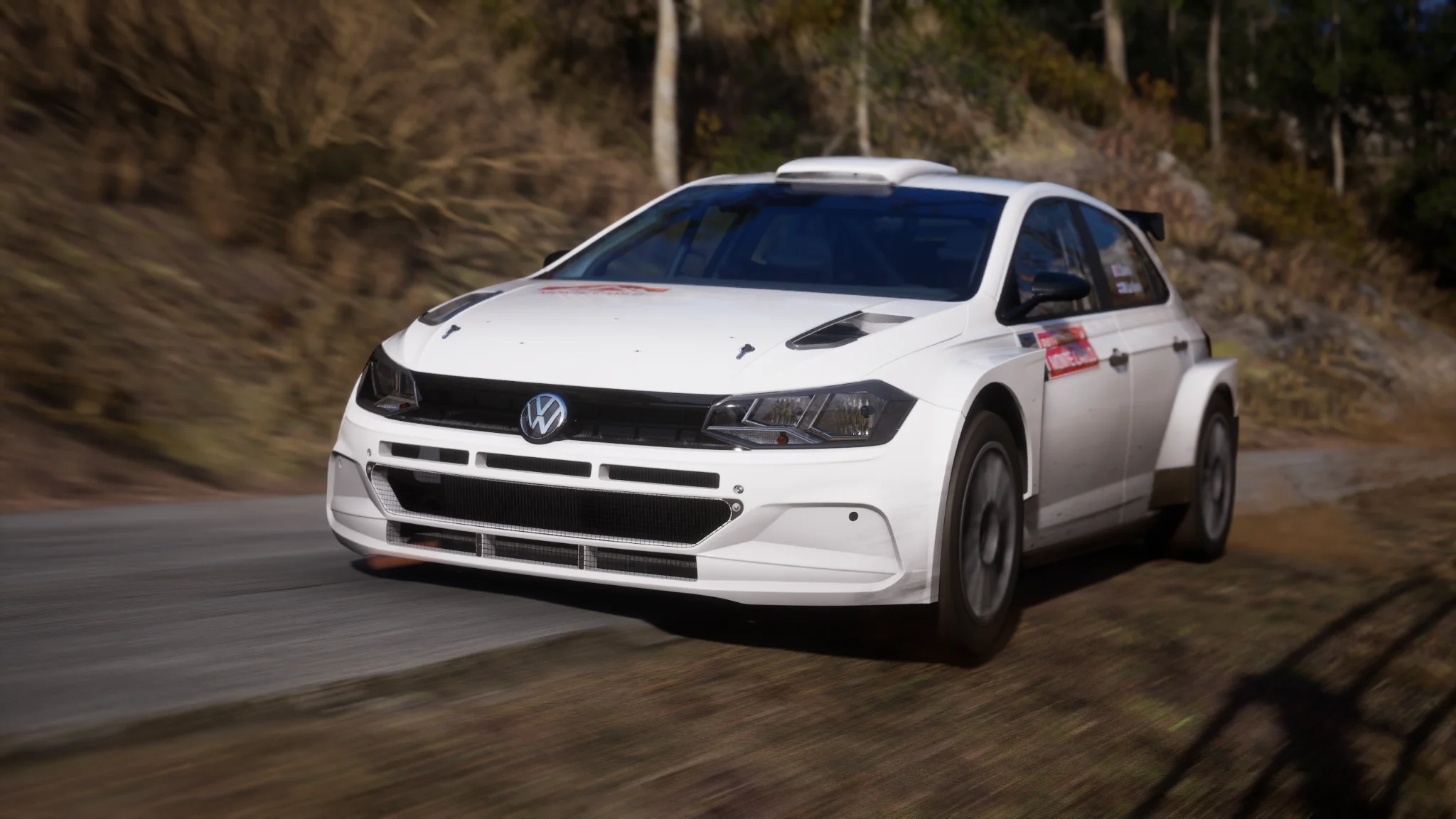 Polo R5 - Blank Test Car