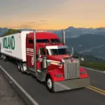 Real MX Graphics2