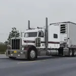 Realistic Graphics v55.0 By Raiden2
