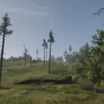 Rhodes Trees4