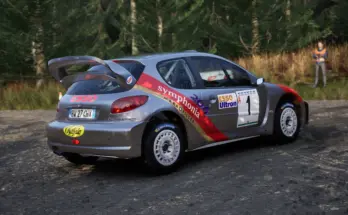 Tóth Imre Peugeot 206 WRC Symphonia1