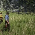 Ultimate Companion System5
