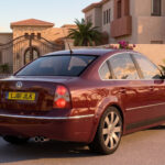 Volkswagen Passat B5.5 W82