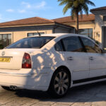 Volkswagen Passat B5.5 W84