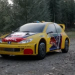 206 Adaptation 208 RX Peugeot Total Team2