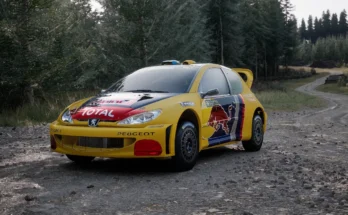 206 Adaptation 208 RX Peugeot Total Team2