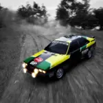 Audi Quattro – 1981 - Michèle Mouton4