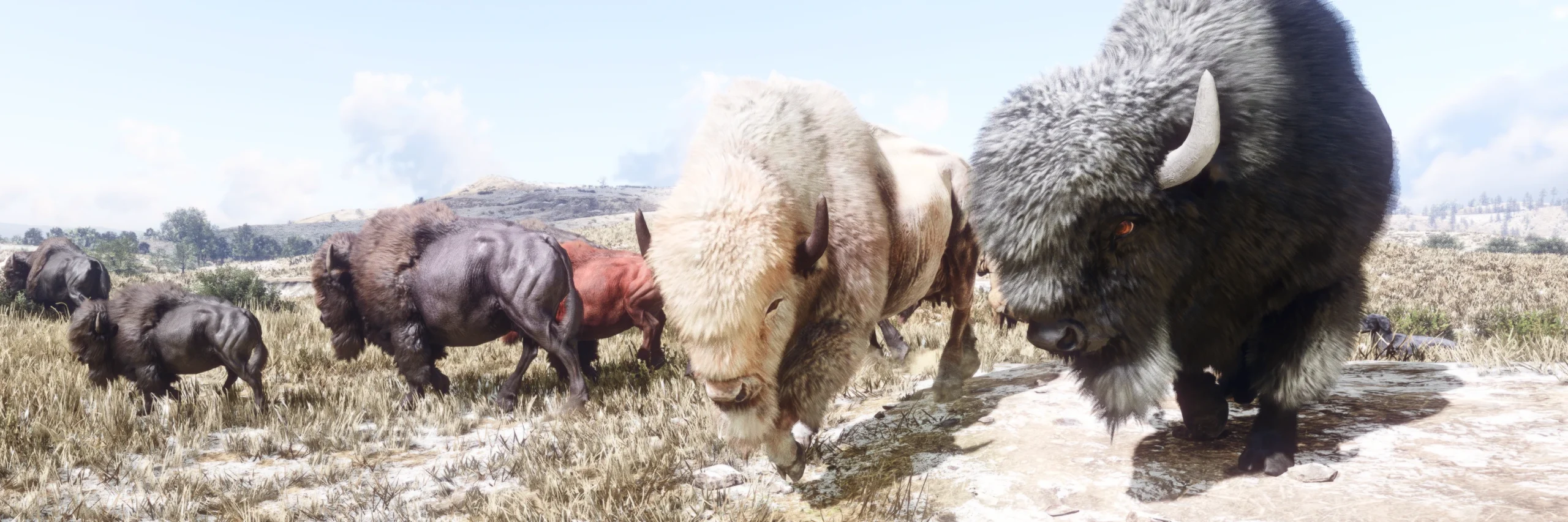 Dynamic Wildlife