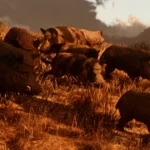 Dynamic Wildlife2