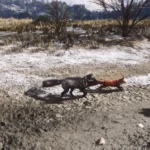 Dynamic Wildlife4
