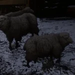 Dynamic Wildlife5