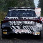 Hyundai I20 Zebra livery 25 Charles Munster2