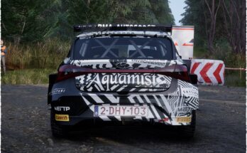 Hyundai I20 Zebra livery 25 Charles Munster2