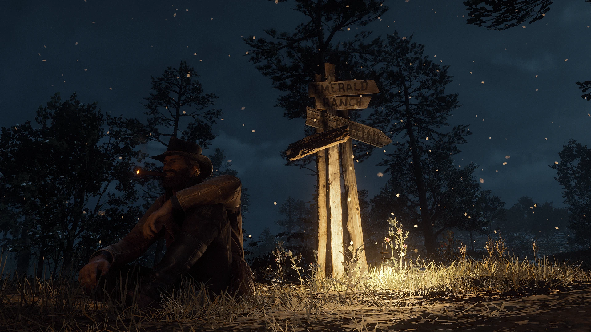 Immersive Signals