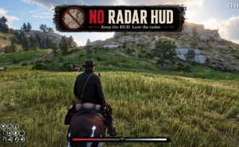 No Radar HUD