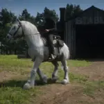 Online Horses in Singleplayer2
