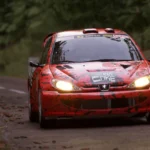 Peugeot 206 - Cherry Coke4
