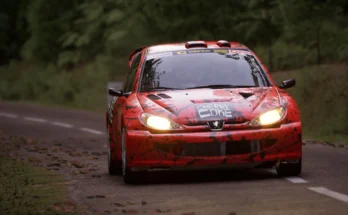 Peugeot 206 - Cherry Coke4