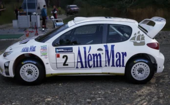 Peugeot 206 WRC Jani Paasonen 38
