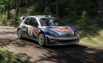 Peugeot 206 WRC. Campos Miguel1