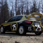Peugeot 206 WRC1