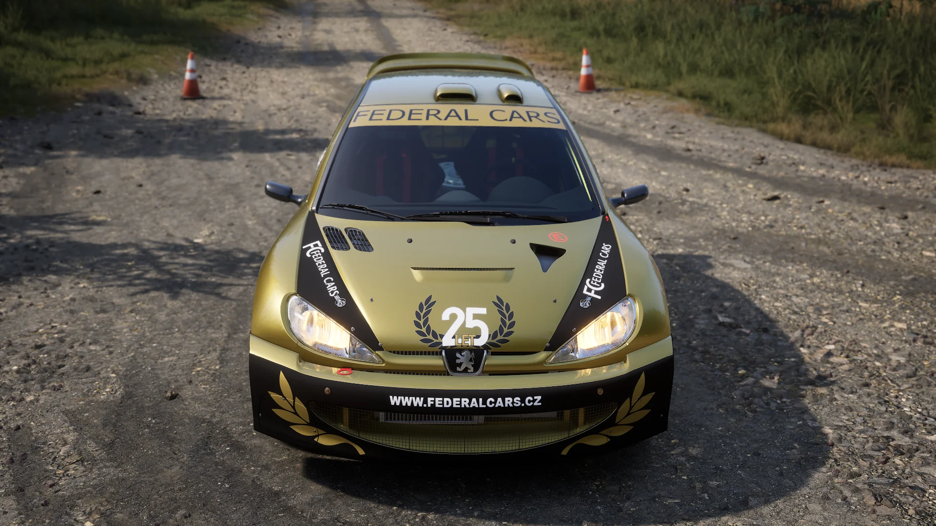 Peugeot 206 WRC2