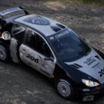 Peugeot 206 wrc - Skin Black1