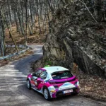 Peugeot 208 Rally4 - Dorka Zagyva - livery13