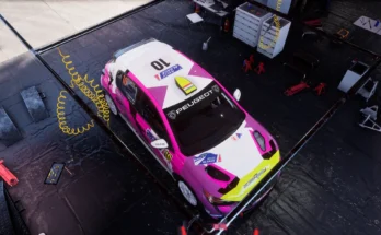 Peugeot 208 Rally4 - Dorka Zagyva - livery2