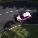 Peugeot 208 Rally4 - Dorka Zagyva - livery6
