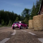 Peugeot 208 Rally4 - Dorka Zagyva - livery8