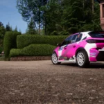 Peugeot 208 Rally4 - Dorka Zagyva - livery9