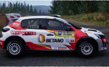 Peugeot 208 Rally4 Ekaterina Stratieva3