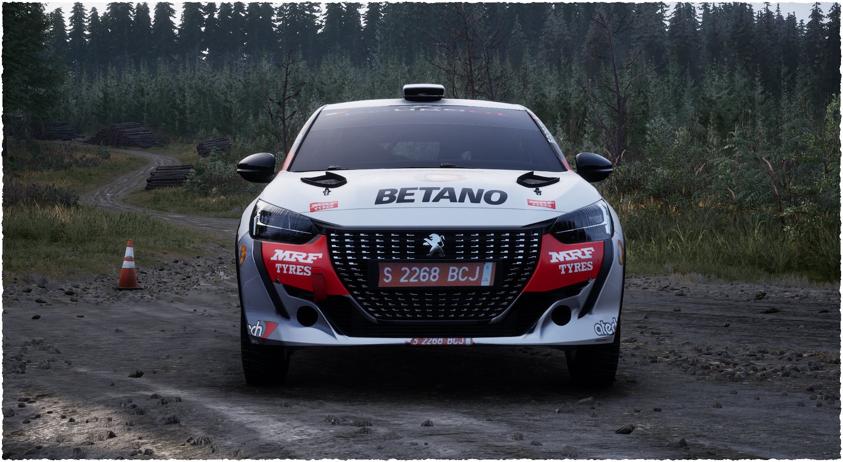 Peugeot 208 Rally4 Ekaterina Stratieva5