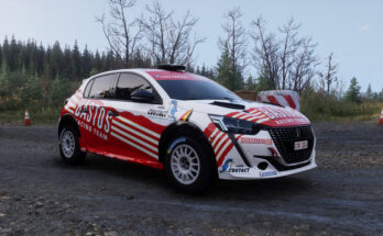 Peugeot 208 inspired Larry Cols Bastos Team 20011