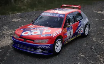 Peugeot 306 Maxi - Manuel Senra