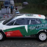 Skoda Fabia WRC Campeón de Canarias 20071