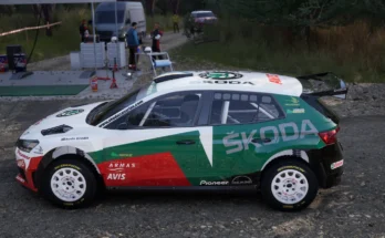 Skoda Fabia WRC Campeón de Canarias 20071