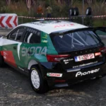 Skoda Fabia WRC Campeón de Canarias 20072