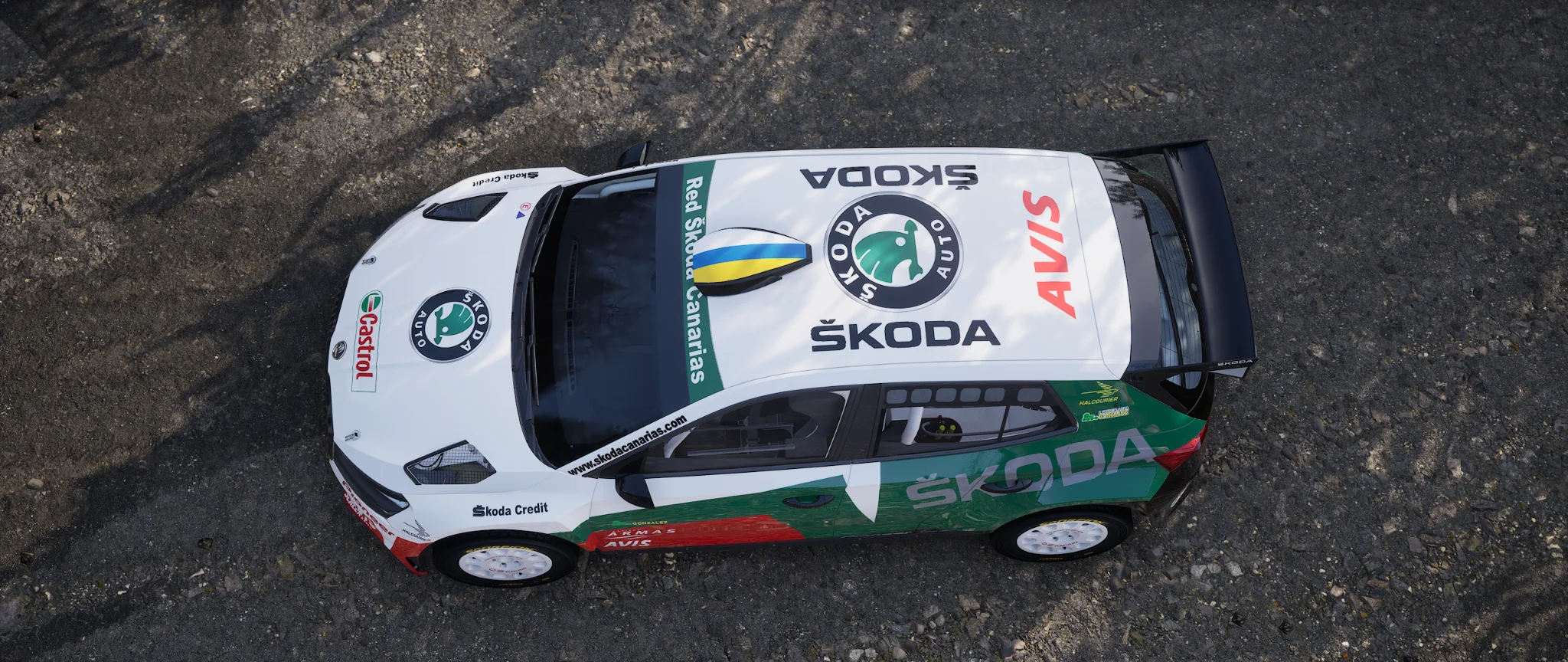 Skoda Fabia WRC Campeón de Canarias 20073