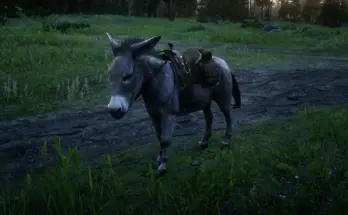 Storable Donkey