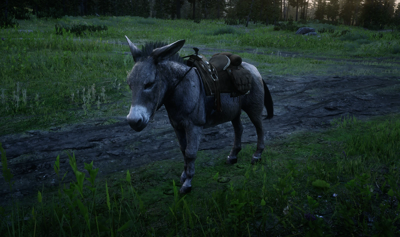 Storable Donkey